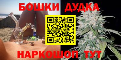 мдпв Будённовск