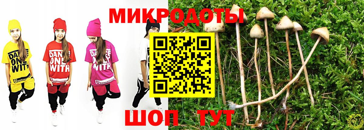 Псилоцибиновые грибы Psilocybine cubensis Родники